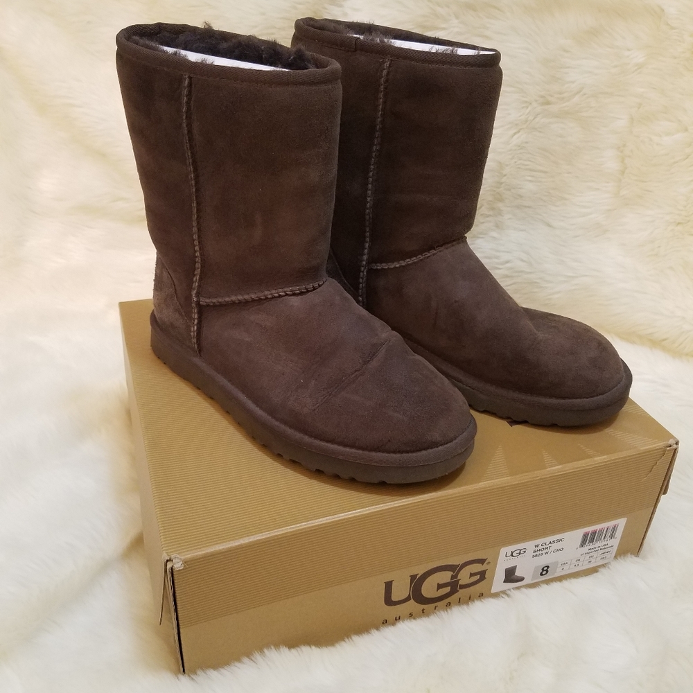 Short chocolate ugg